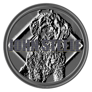 Steele Token (png file)